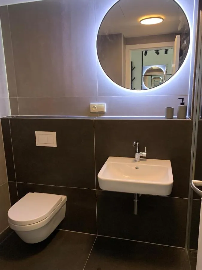 Central Karlin Apartments 프라하
