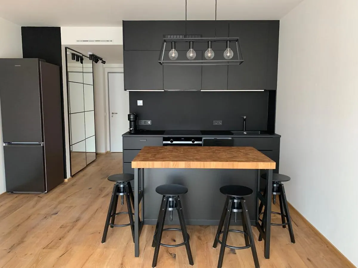 Central Karlin Apartments 프라하